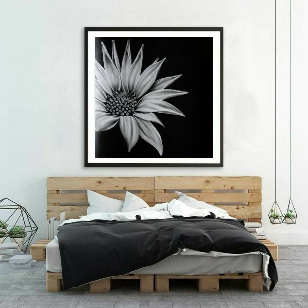 Original Sunflower Drawing Sunflower Graphite Painting picture