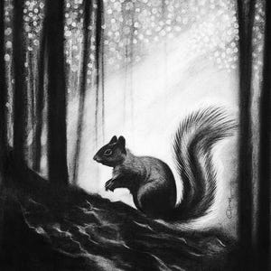 May include: A black and white charcoal drawing of a squirrel perched on a dark, textured log. The squirrel is shown in profile with a bushy tail, set against a forest background with vertical tree trunks and soft, glowing light spots.