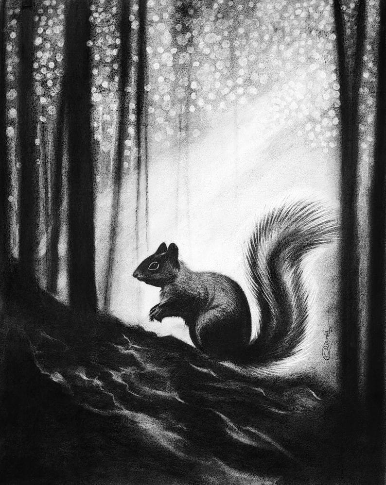 May include: A black and white charcoal drawing of a squirrel perched on a dark, textured log. The squirrel is shown in profile with a bushy tail, set against a forest background with vertical tree trunks and soft, glowing light spots.