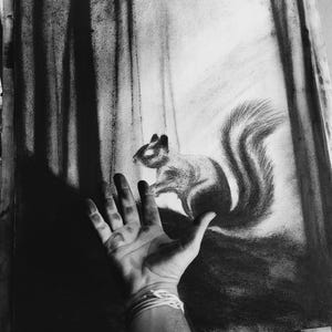 May include: A charcoal drawing on paper depicting a squirrel in a forest setting with tall, dark vertical tree trunks. The artwork uses high-contrast black and white shading to create depth, with the squirrel positioned centrally in the composition.