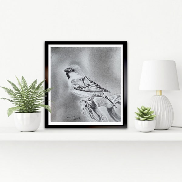 Bird Pencil Drawing Etsy