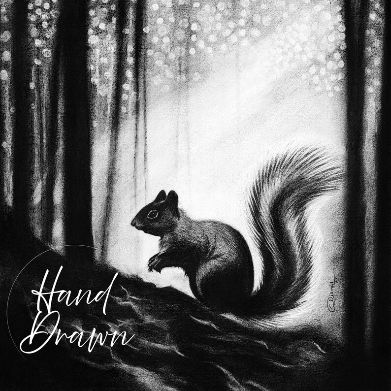 May include: A black and white charcoal drawing of a squirrel perched on a tree branch in a forest setting. The artwork features a detailed squirrel with a bushy tail, surrounded by dark tree trunks and light, circular bokeh-style highlights.