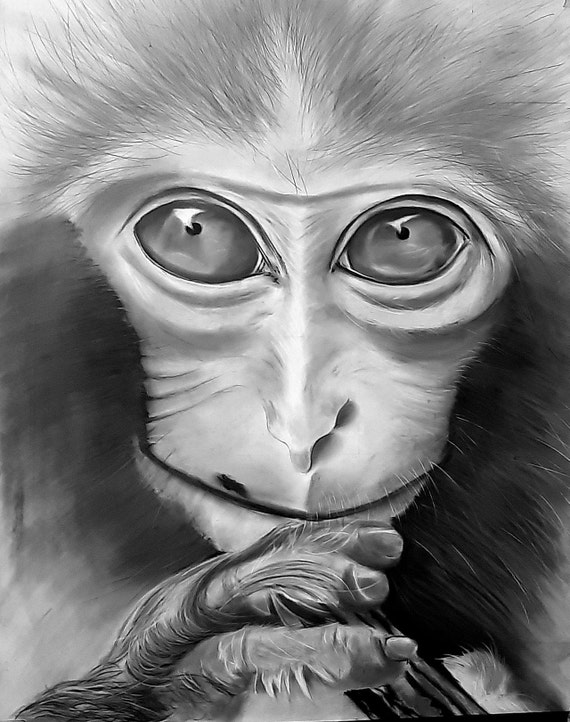 Cute Capuchin monkey sketch hand drawn realistic style Stock Vector Image &  Art - Alamy