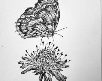 蝶 | ペン画、ファンタジーアート、フォークアート、夜景、自然、風景