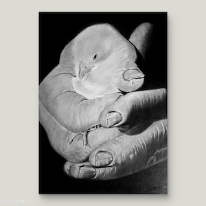 Baby Bird in Hands Drawing – Original Pencil Wildlife Art – Symbol of Care & New Beginnings – NOT PRINT