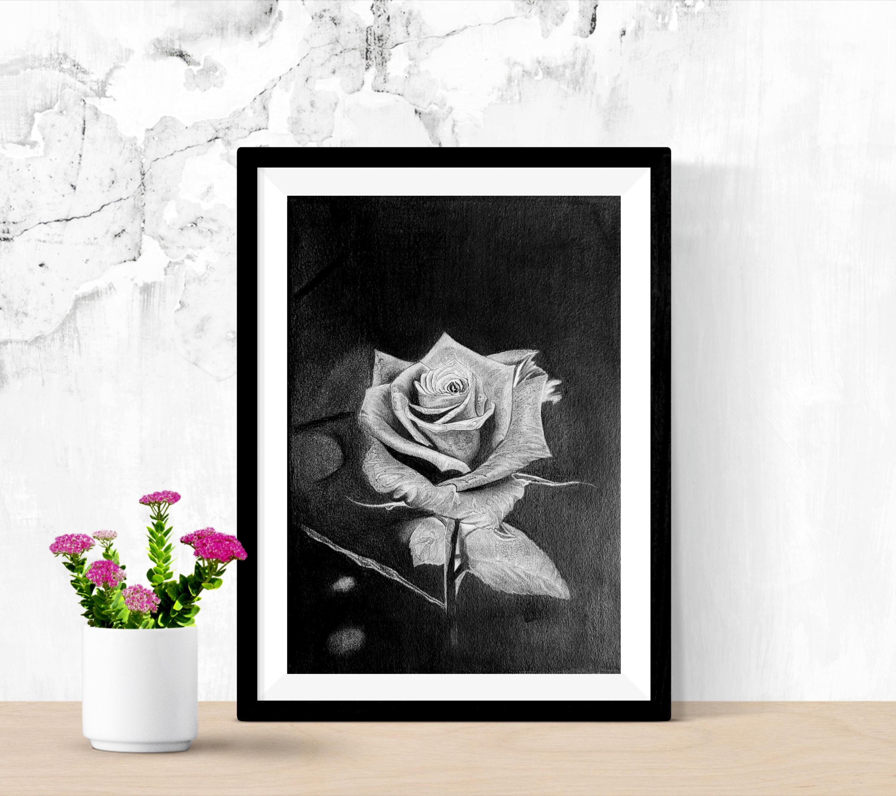 Original Rose Pencil Drawing Handmade Graphite Floral Art