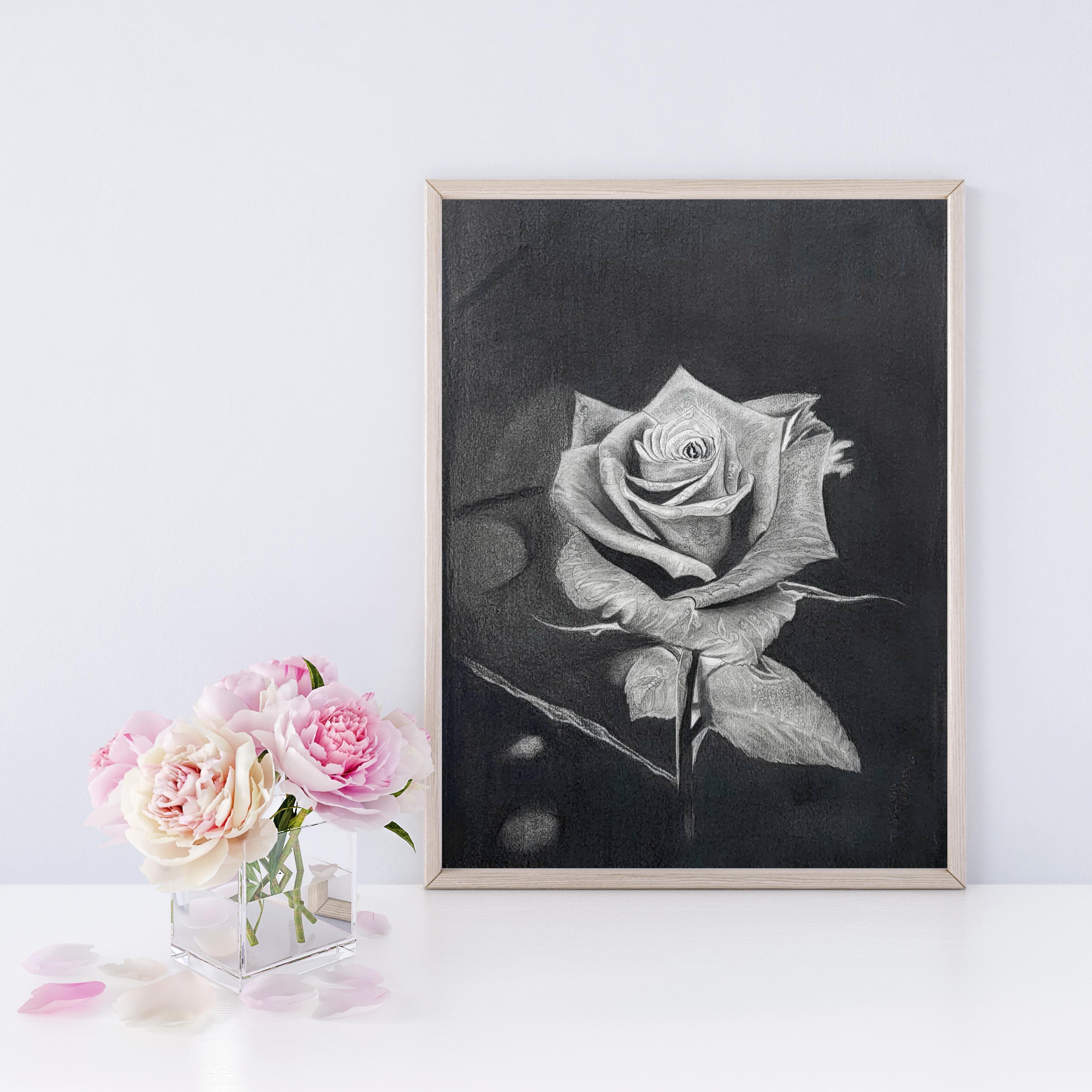 Original Rose Pencil Drawing Handmade Graphite Floral Art