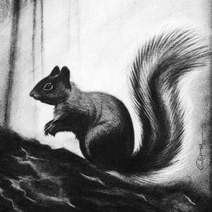 May include: A black and white charcoal drawing of a squirrel in profile, facing left. The squirrel has a textured, bushy tail and is positioned on a dark, uneven surface. The artist's signature is visible in the lower right corner of the artwork.