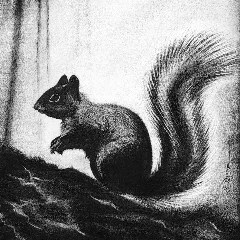 May include: A black and white charcoal drawing of a squirrel in profile, facing left. The squirrel has a textured, bushy tail and is positioned on a dark, uneven surface. The artist's signature is visible in the lower right corner of the artwork.