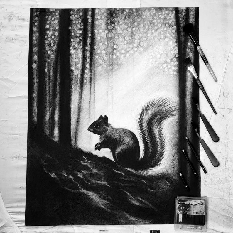 May include: A black and white charcoal drawing of a squirrel perched on a forest floor with light filtering through trees. The artwork is displayed alongside several charcoal drawing tools and a small box labelled Brietzo Charcoal Sticks.
