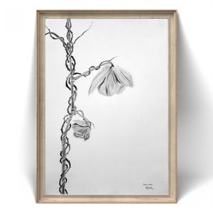Disegno realistico a matita della vita e della morte - Stelo spinoso e fiori appassiti - Arte murale simbolica - Opera d'arte in grafite fatta a mano - Lotte della vita