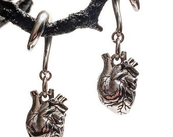 Op de afbeelding: Een paar zilveren anatomische hart-hangende oorbellen. Elke oorbel heeft een gedetailleerd anatomisch hartbedeltje dat aan een zilveren hoepel hangt.