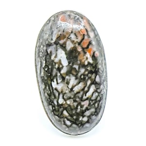 Anillo de hueso de dinosaurio petrificado, talla 7,5 en plata de ley