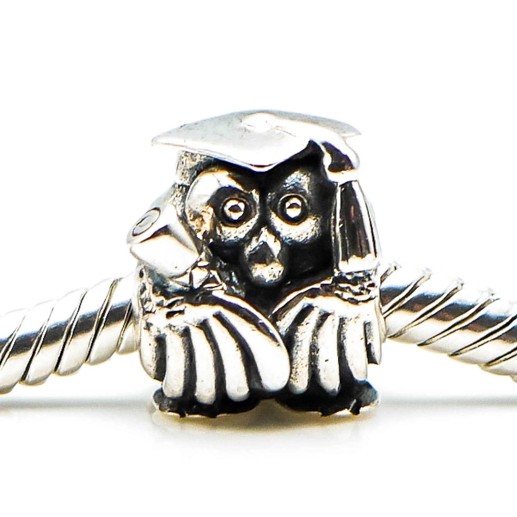 Chamilia graduation hotsell charm