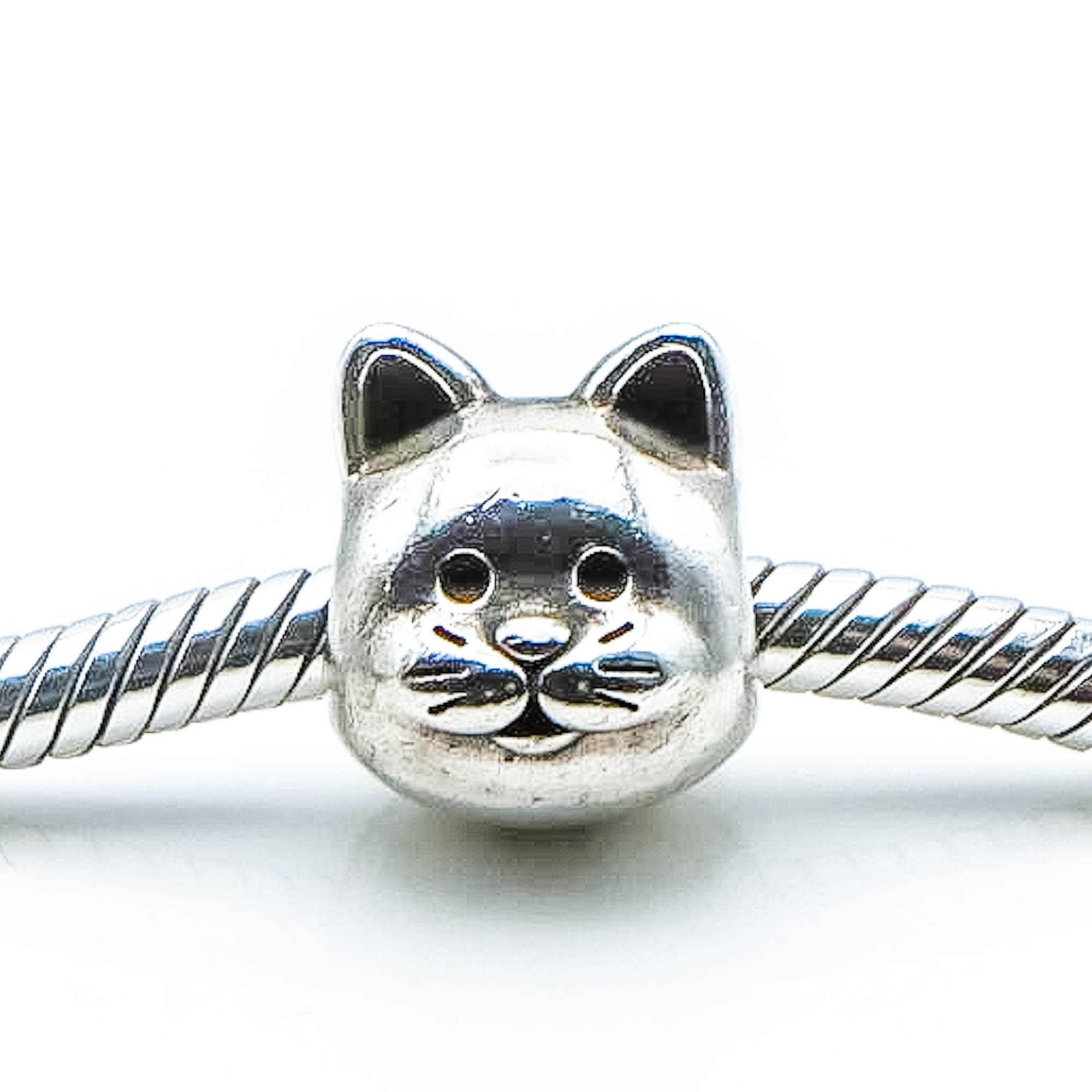 Pandora hot sale curious cat
