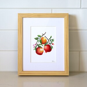 Garden Fruit Tree Trio Seville Orange Pomegranate Peach Gouache Botanical Print