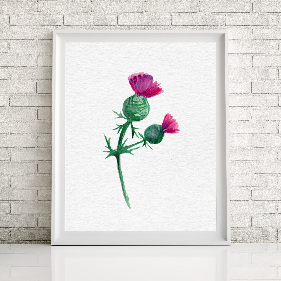 Thistle Print Thistle Wall Art Scottish Wall Art Watercolor Etsy