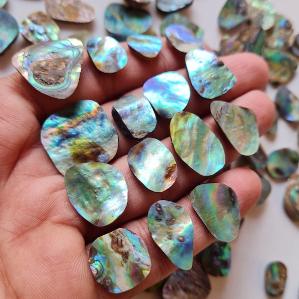 Abalone chips Abalone Shell Rare Quality Wholesale Price Mix Size. Shape Abalone chips Lot For Jewelry.