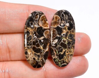 Natürliches Turritella Achat Cabochon Edelstein Paar, Ohrring machen