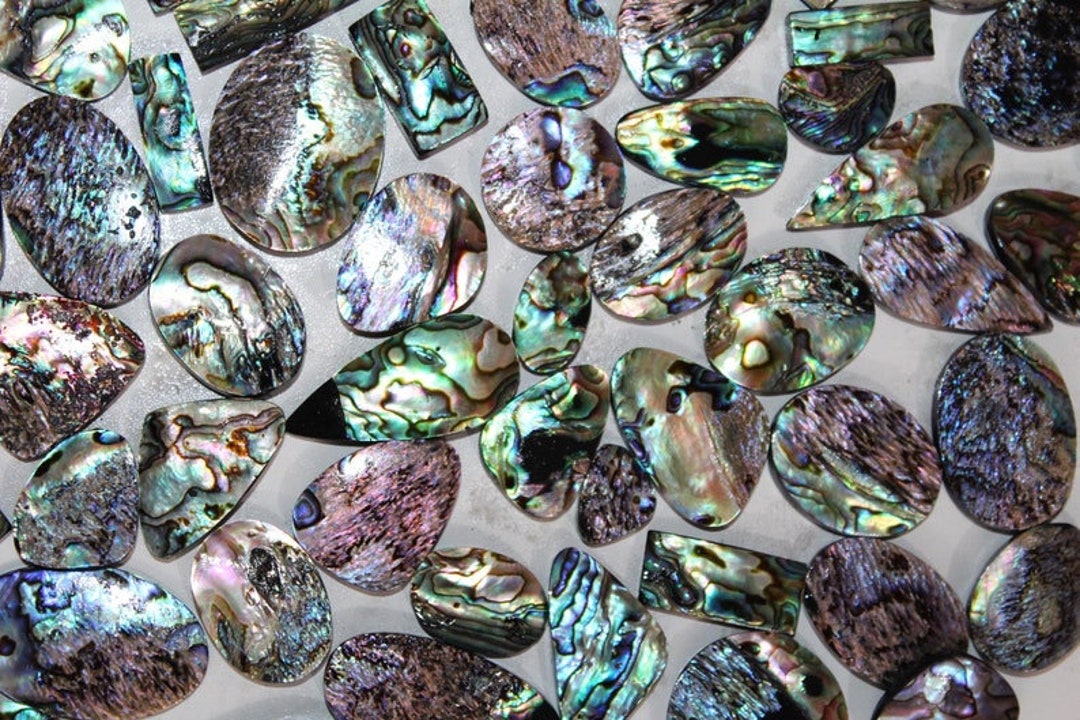 Abalone Shell, Bulk and Lot per Kilo Gram Abalone Shell Rare Quality