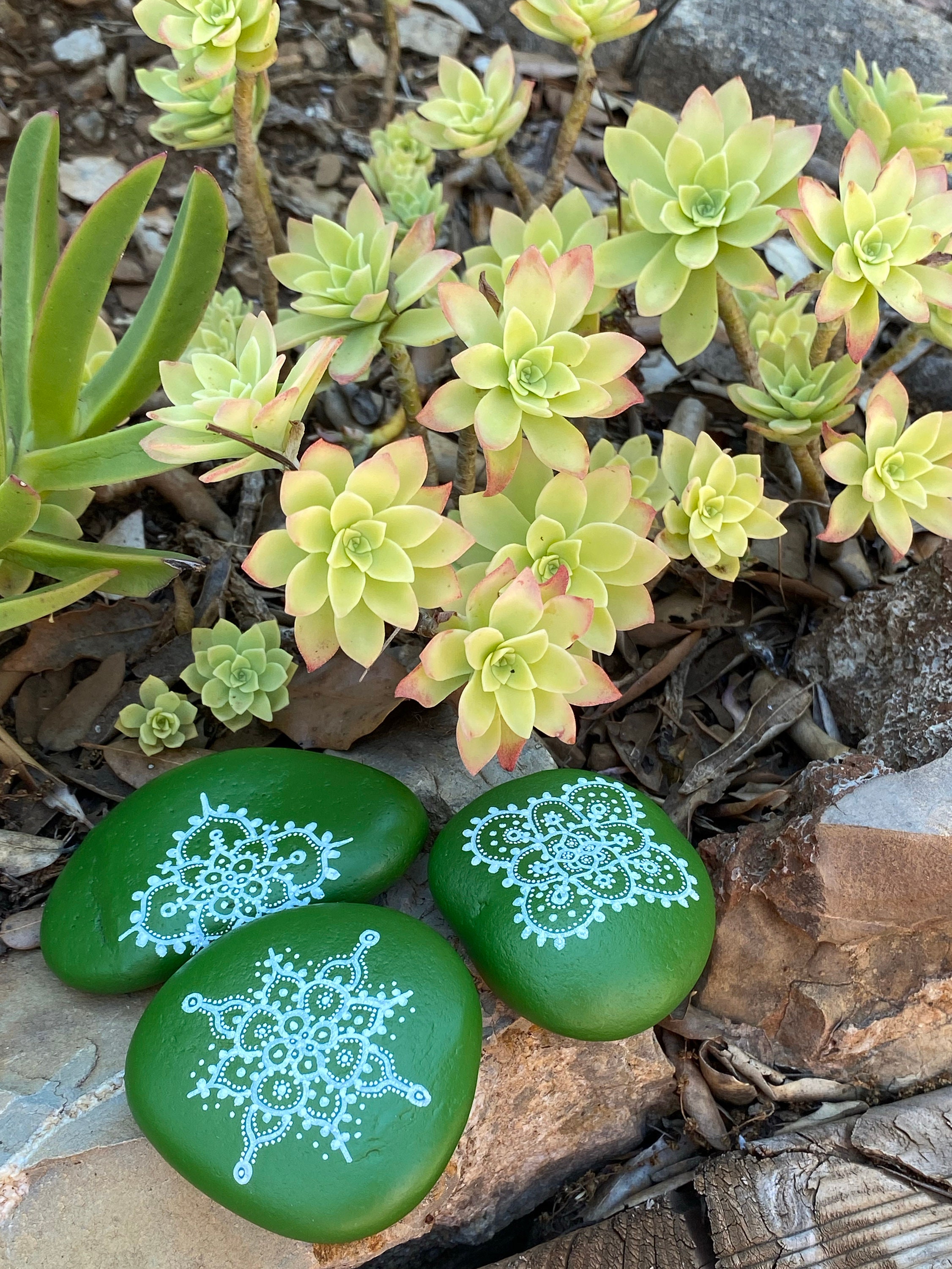 Un Assortiment de Trois Mandalas | Vert Olive