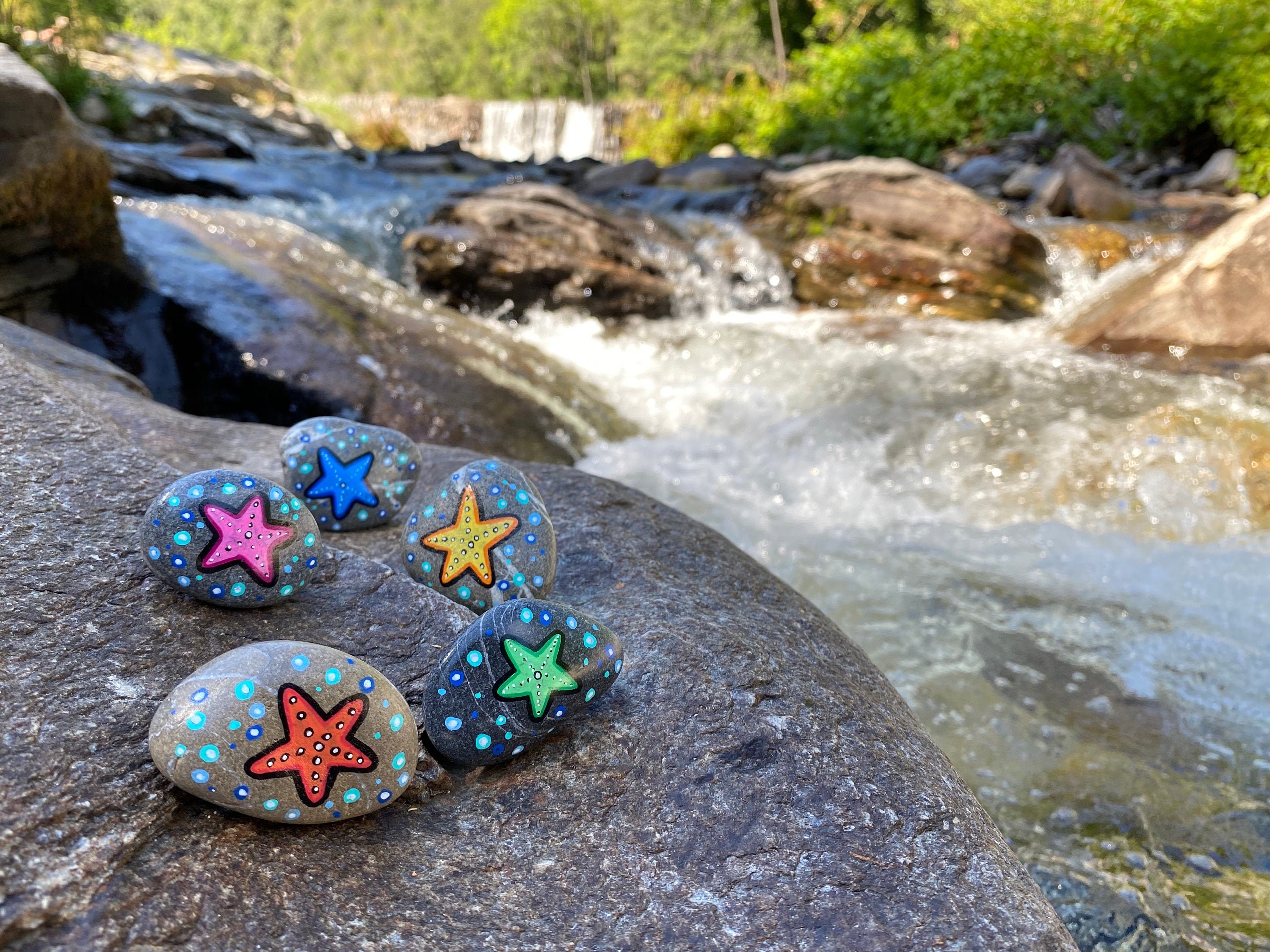 Un Assortiment de Cinq Galets Étoiles Mer