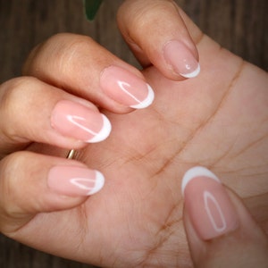 White Pink French Natural Press On Nails Nails False Nails Fake Nails Stick On Nails Short Oval image 1