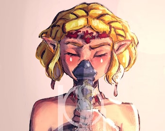 Zelda Tears of the Kingdom - Art Print