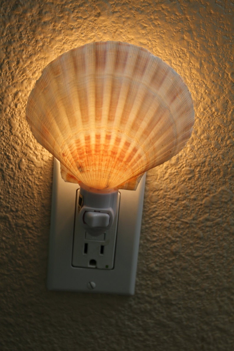 Natural Seashell Night Light Beach Wedding Bridesmaids Gifts