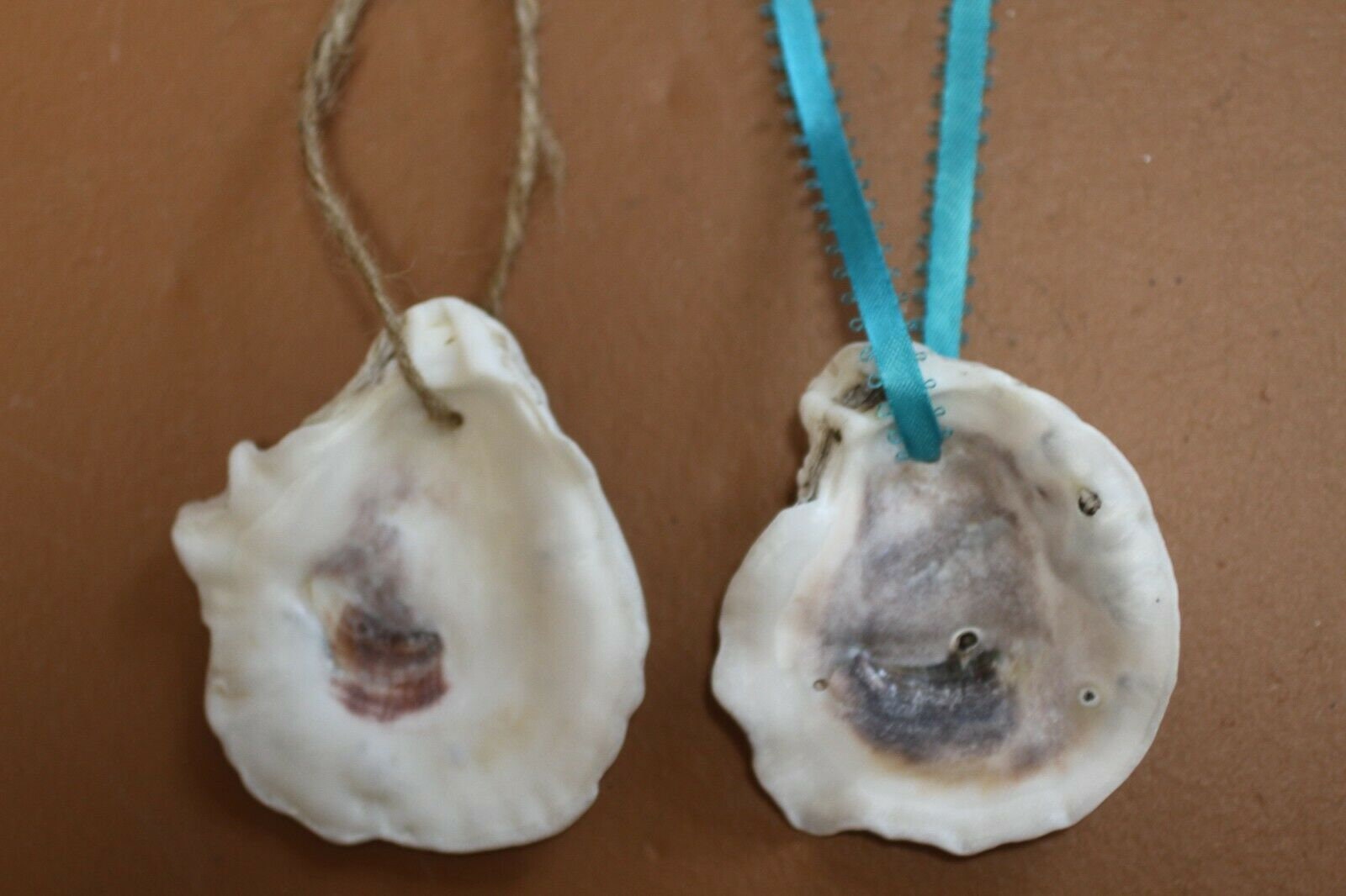Large Oyster Shells Drilled Holes Tumbled Smooth Craft Etsy
