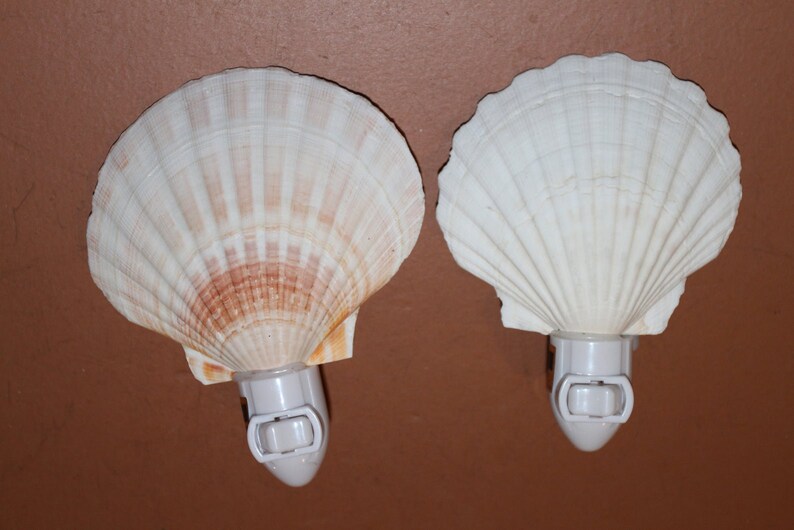 Natural Seashell Night Light Beach Wedding Bridesmaids Gifts
