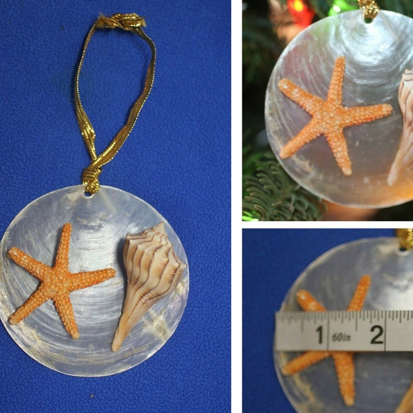 Seashell Ornaments Etsy