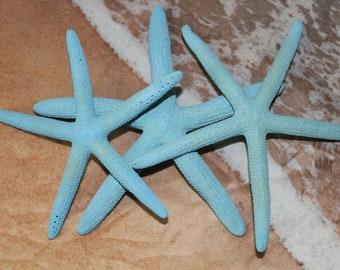 Beach Wedding Venue Decor Aqua Blue Colors, Real Preserved Starfish, 5 inch to 8 inch, Large Sea Foam Fast Free Shipping