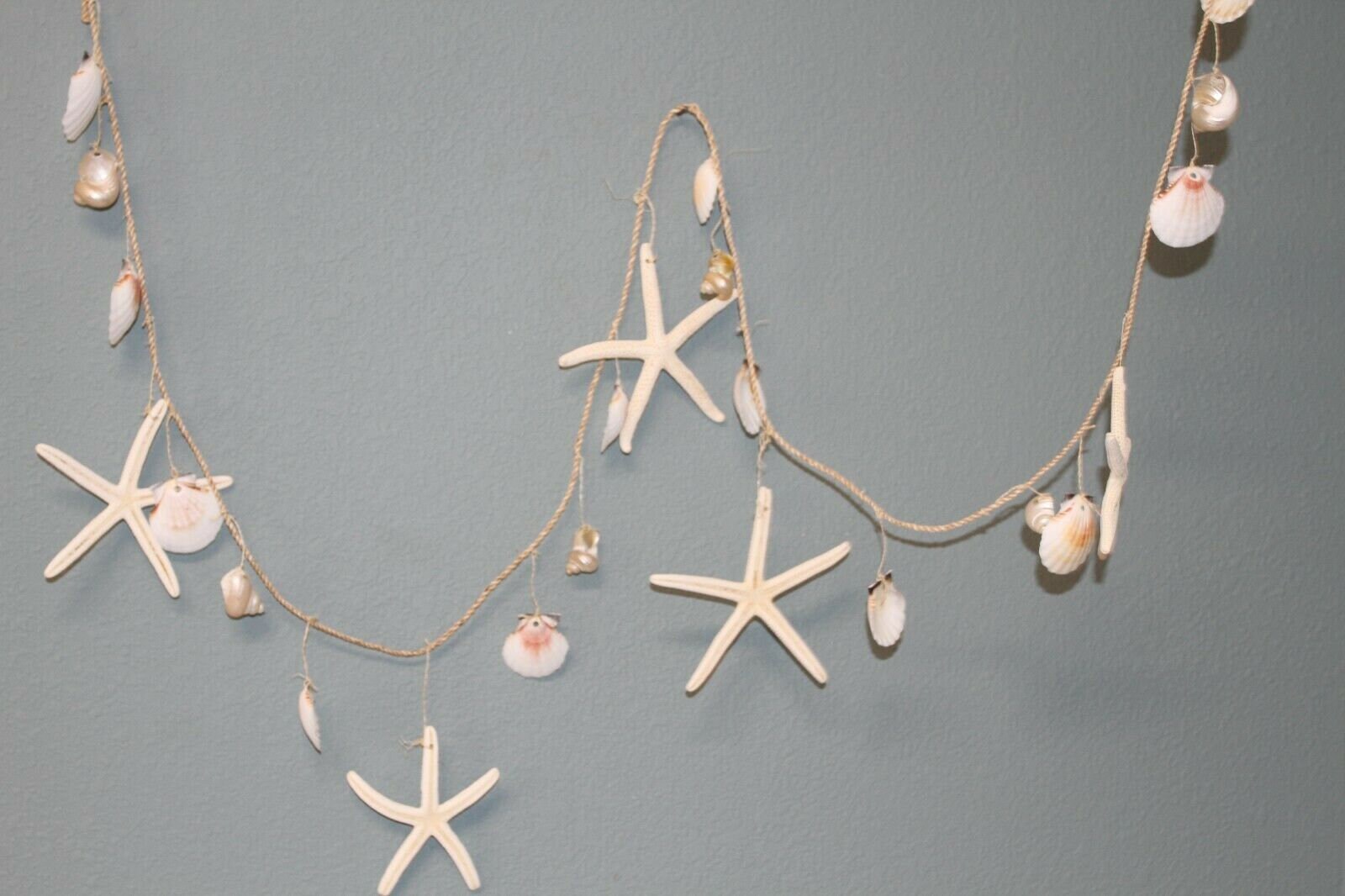 Coastal Living Indoor Seashell Garland Long 54 G92 Etsy