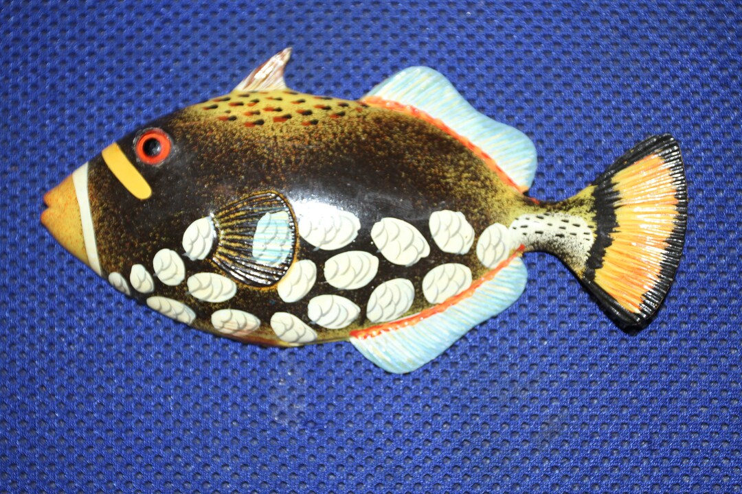 6 Inch Tropical Fish, Species Correct Craft Wreath Netscape Supply Cake ...