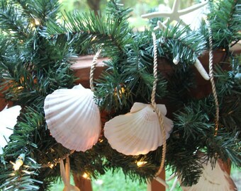 Large Seashell Garland Hanging Decor | Beach House Patio Deck Railing Decor, Over 8 feet +, G-88 Fast Free Shipping