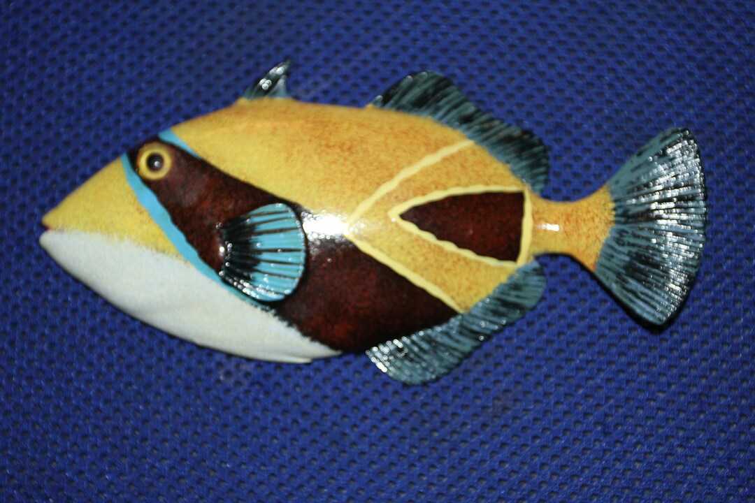 6 Inch Tropical Fish, Species Correct Craft Wreath Netscape Supply Cake ...