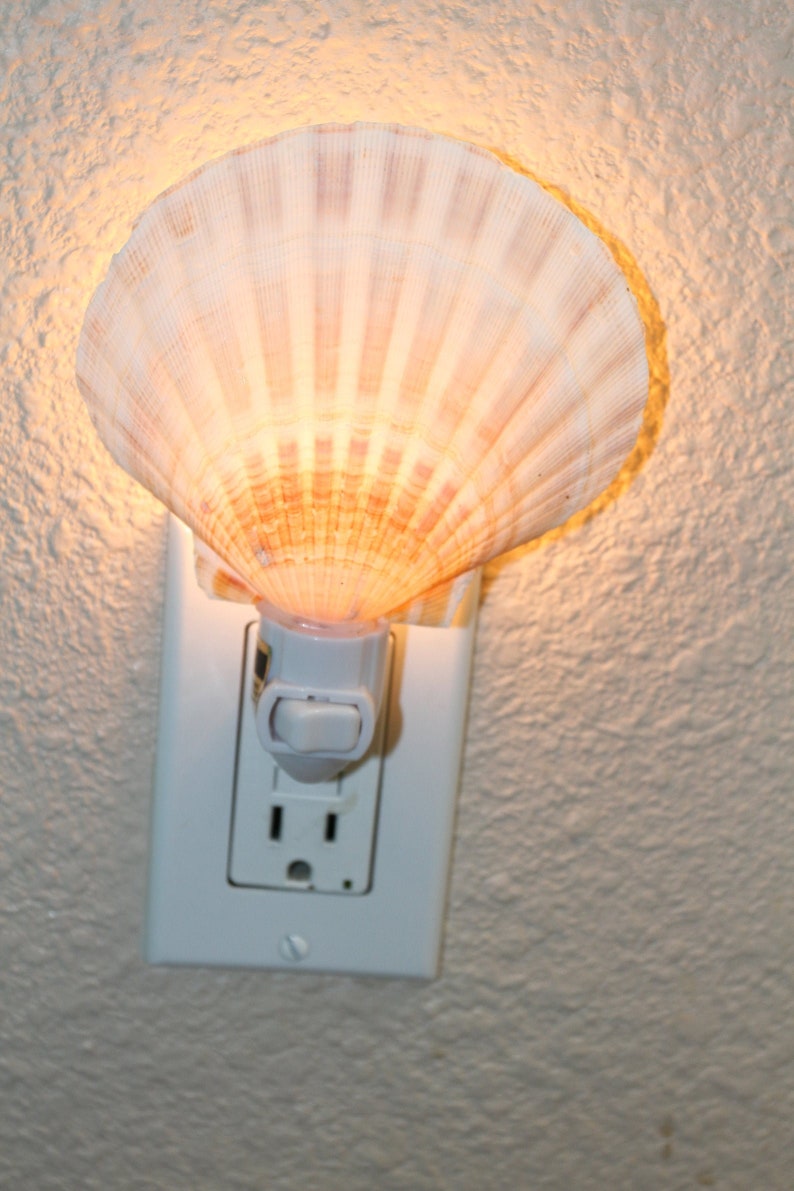 Natural Seashell Night Light Beach Wedding Bridesmaids Gifts