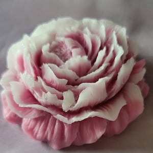 May include: A pink and white soap flower with a ruffled design. The flower is made of soap and has a delicate, feminine appearance.