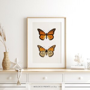 Monarch Butterfly, Vintage Bug Insect Poster, Animal Decor, Printable ...