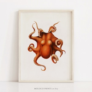 Red Octopus, Vintage Animal Print, Nautical Coastal Poster, Printable Wall Art Prints, Kitchen Home Decor, Seafood, Instant Digital Download