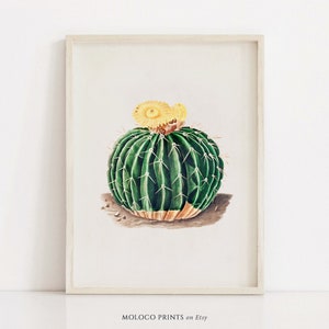 Sunny Cactus Print, Vintage Succulent Cacti Botanical Poster, Printable Wall Art Prints, Desert Home Boho Decor, Instant Digital Download