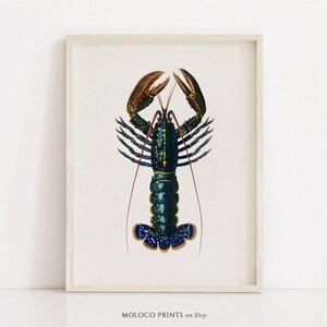 Blue Lobster, Vintage Animal Print, Coastal Poster, Printable Wall Art Prints, Kitchen Home Decor, Seafood Shrimp, Instant Digital Download