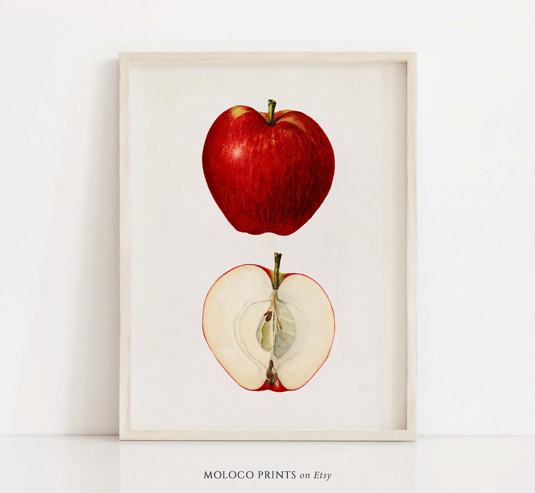 Apple Illustration Art/Canvas Print Poster Home Decor Wall Art Apple Illustration Art/Canvas Print Poster Home Decor Wall Art