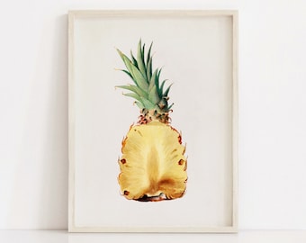 Stampa di frutta mezzo ananas, poster botanico antico vintage, stampe d'arte da parete stampabili, arredamento Boho per la casa cucina, download digitale istantaneo