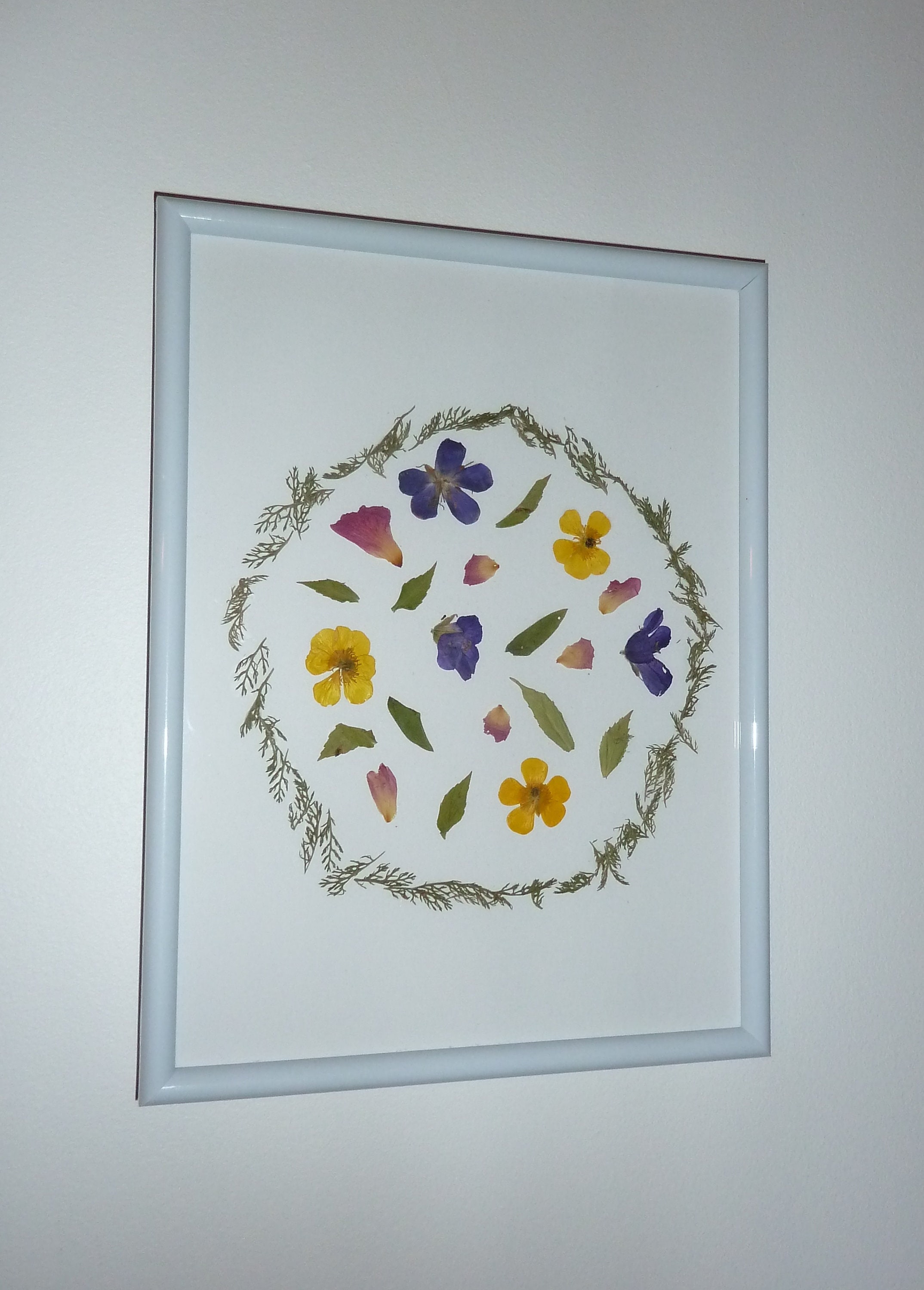 Cadre Herbier de Fleurs Sauvages Montagne