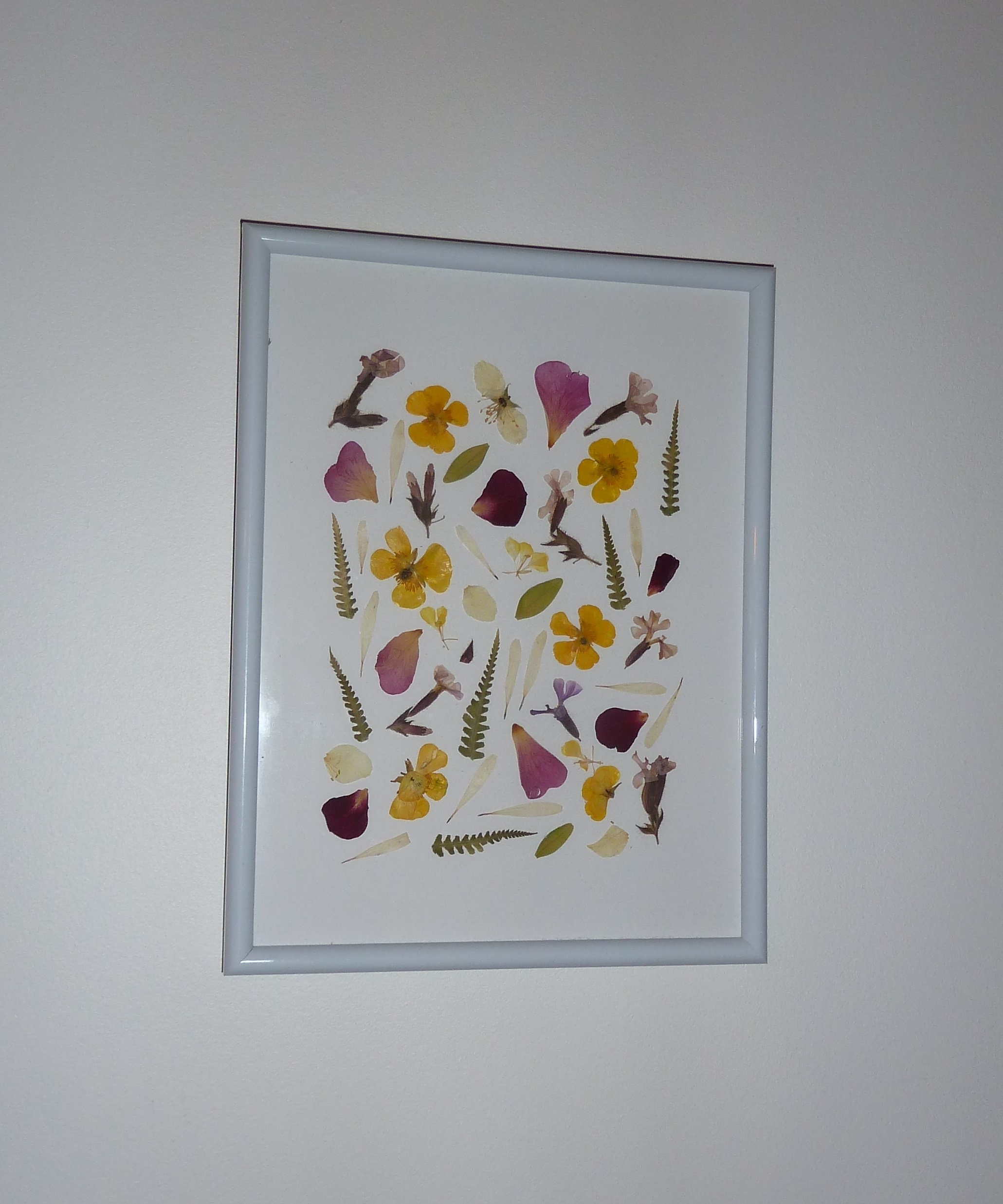 Cadre Herbier de Fleurs Sauvages Montagne