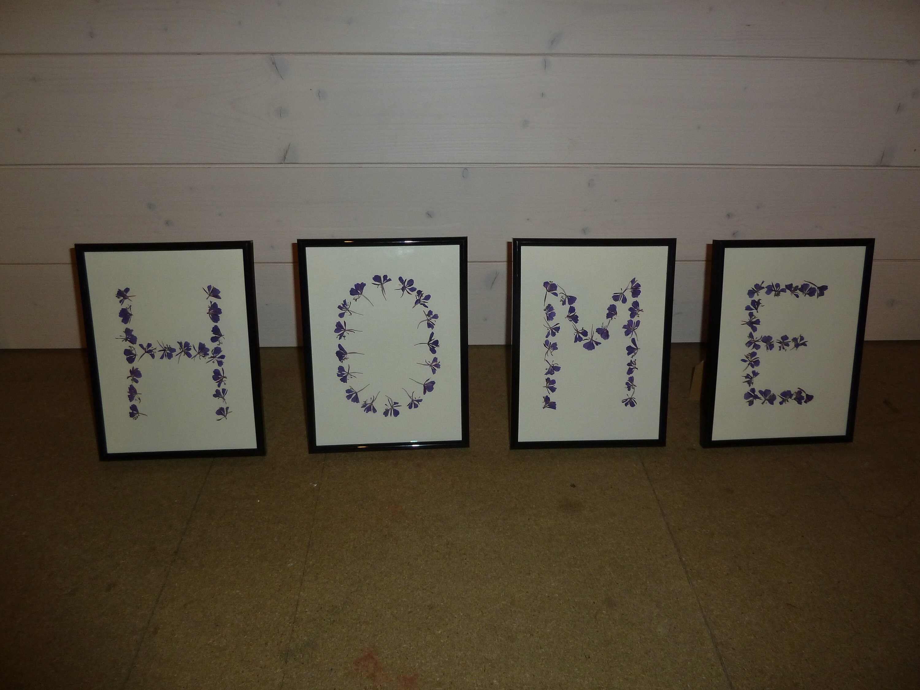 Lot de 4 Cadres Herbier Fleurs Sauvages Montagne