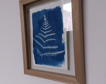 Original fern cyanotype print in frame