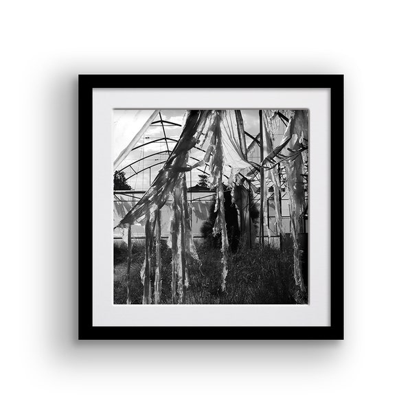 Black and white photography wall art, Architecture print download, Old greenhouse photography, Modern Farmhouse Home Décor, Instant Download